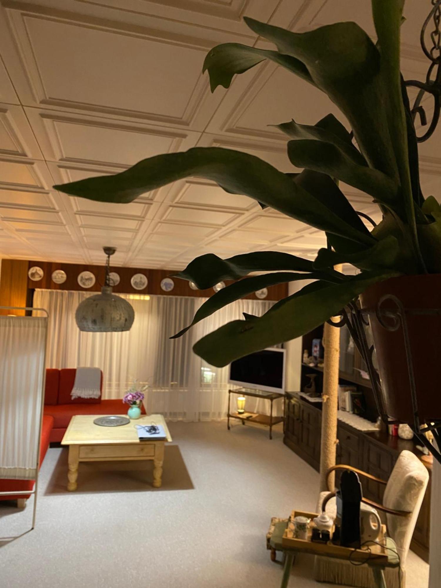 Privartzimmer 'Ausfahrt Freihalten' Хузум Экстерьер фото
